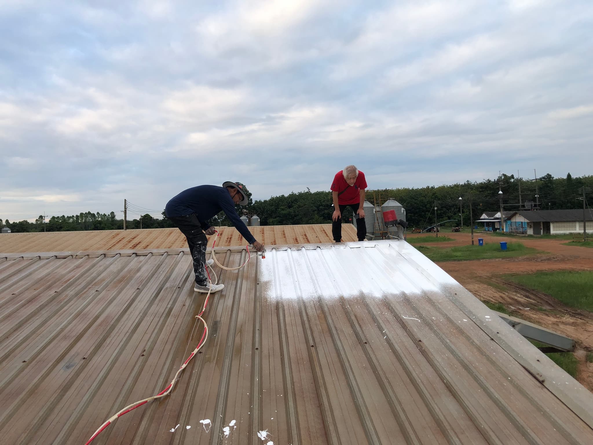 tiisa® Superinsulation Paint being applied to the roof of the poultry warehouse when testing the effectiveness of the product.
