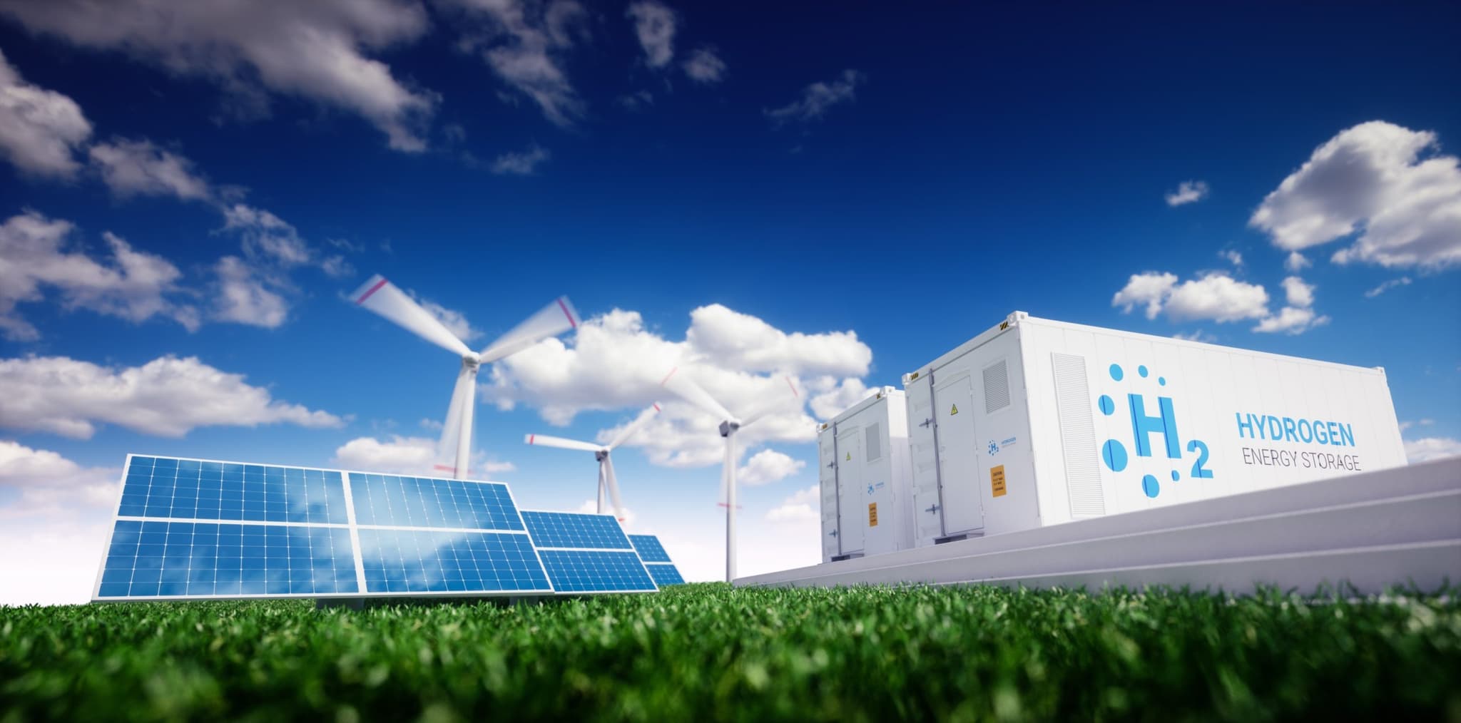 Our Commitment to the Environment